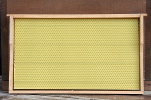 Sheet of Beeswax with Hexagonal Pattern
