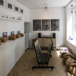 Consept Store