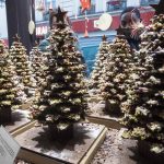 Admiring Chocolate Christmas Trees