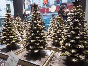 Admiring Chocolate Christmas Trees